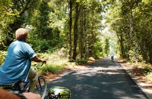 Dismal Swamp Trail Camden, NC